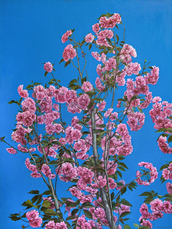 photorealism - cherry blossoms