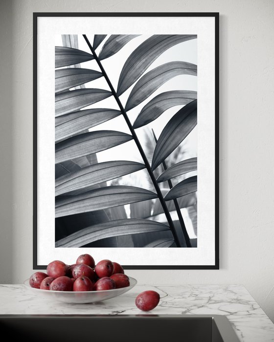 Between Fronds