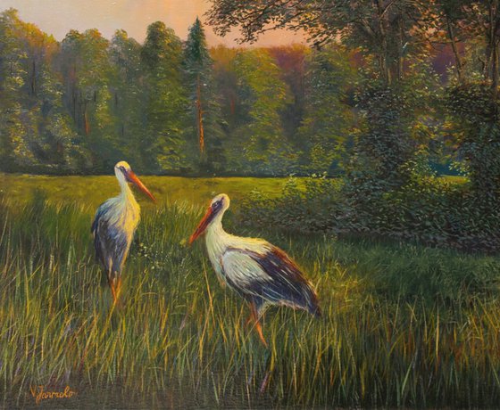 Storks in the Evening