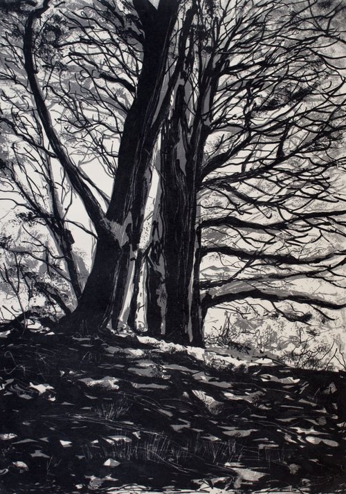 Winter Woodland 2 by Aidan Flanagan Irish Landscapes
