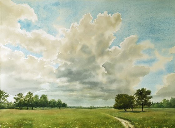 Summer Clouds Over Meadow
