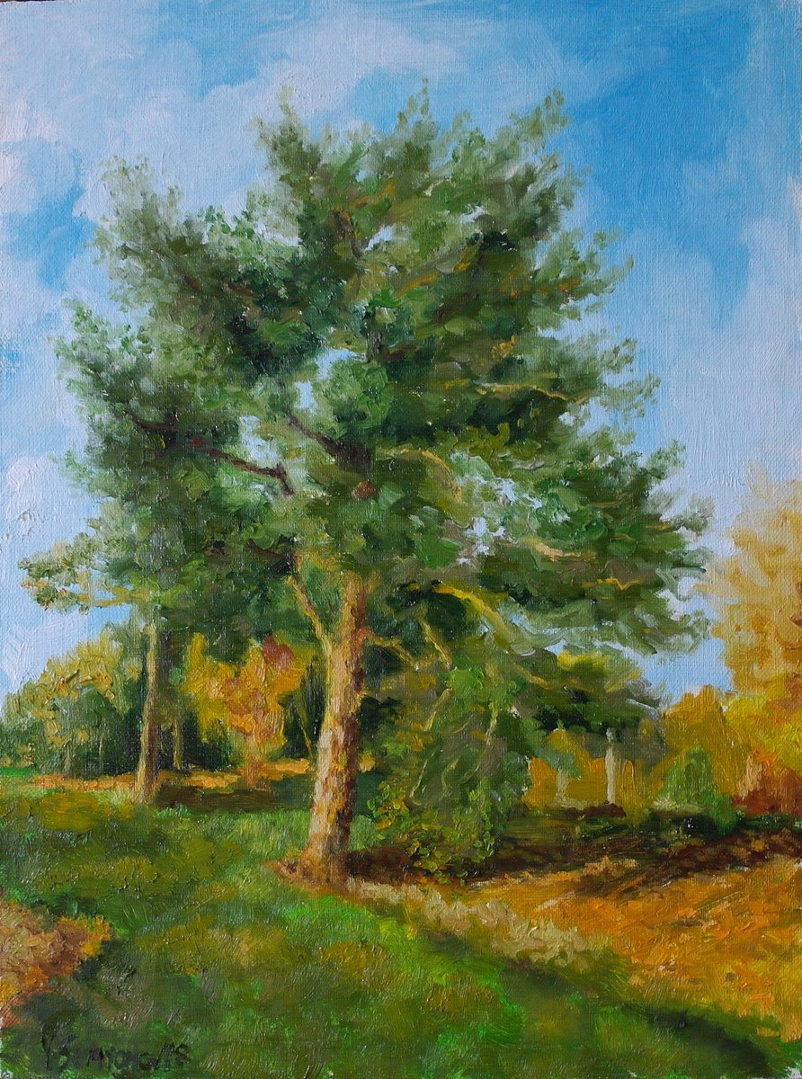 Sunny Day By Juri Semjonov, 12 X 16, Artwork For Sale On Artfinder