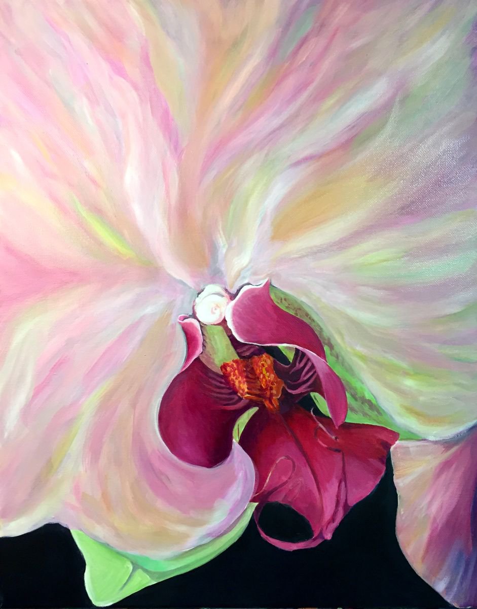 Orchid by Angelflower (Sun Mei)
