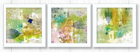 Calming Encounters Collection 1 - 3 Framed Works of Art