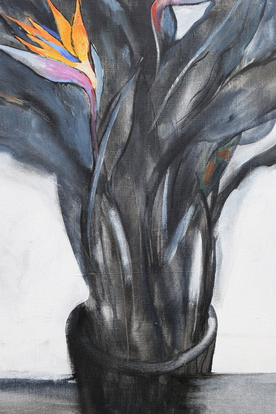 Strelitzia (bird of paradise)