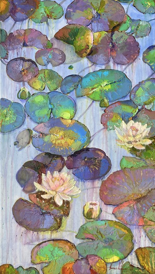Water lilies. by Andriy Vutyanov