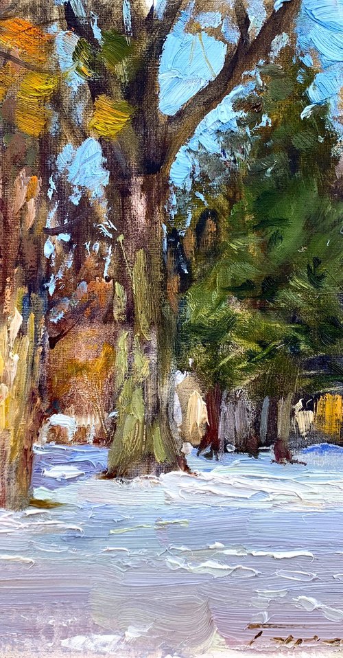 In the winter park by Volodymyr Tarabanov