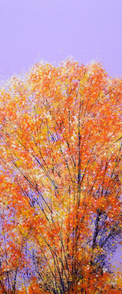 Autumn Splendor by Marc Todd