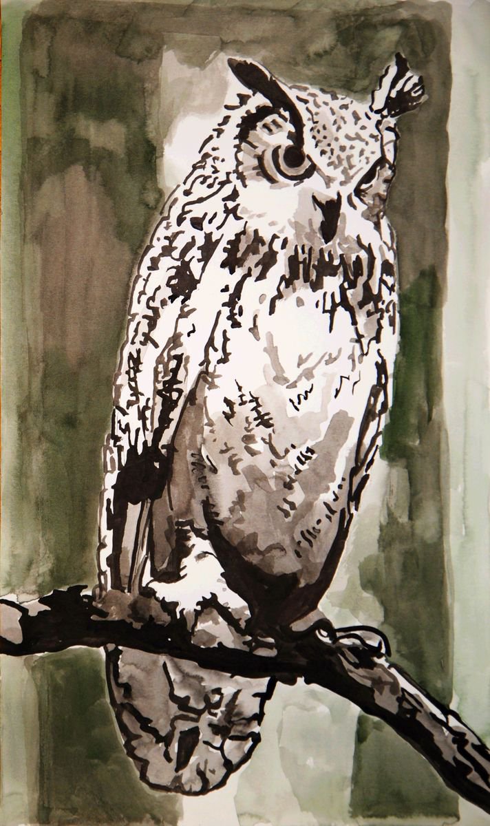 Organic Animal Ink Drawing By Alexandra Djokic, 10 X 17, Owl, Original Artwork