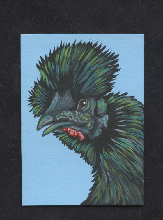 ACEO ATC Original Miniature Painting Showgirl Silkie Chicken Pet Bird Art-Carla Smale