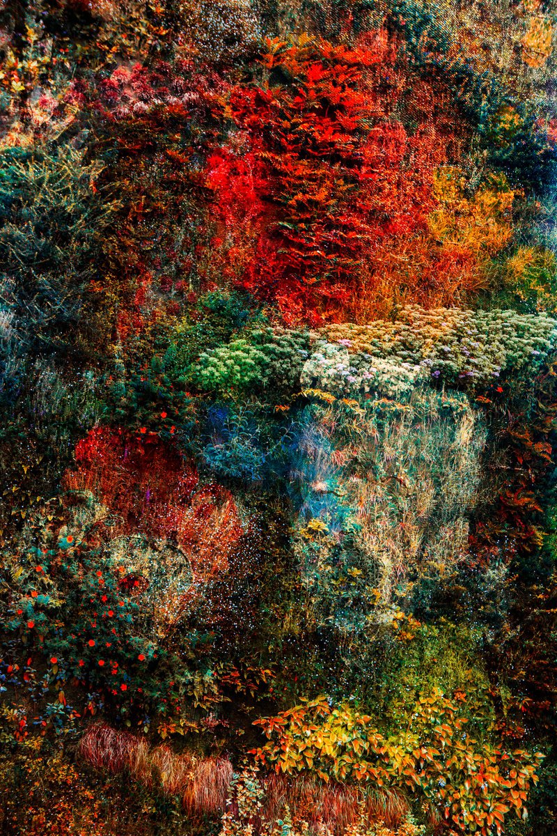 Impressionistic Botanical Photograph By Viet Ha Tran, 31 X 44", Wall Of Nature Lxvii (Framed), Original Artwork