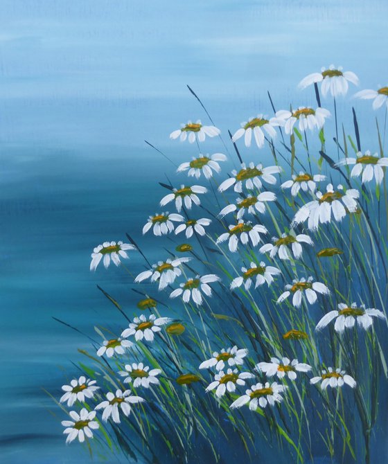 Coastal Daisies