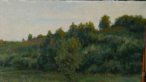 The Summer Evening - summer landscape painting