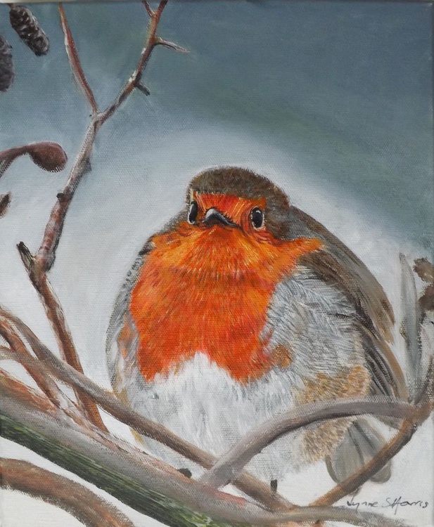 Robin 2016 Acrylic Painting By Lynne Harris Artfinder