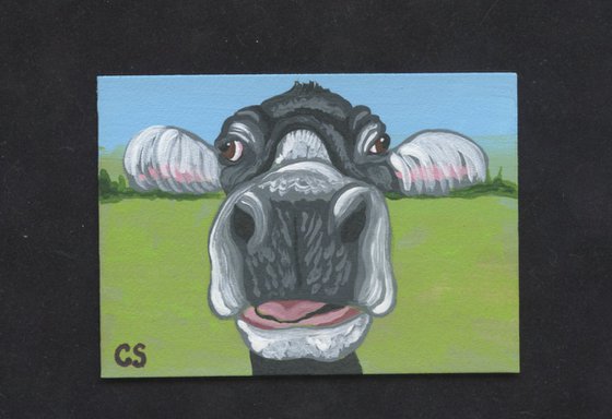 ACEO ATC Original Miniature Painting Black White Cow Farmyard Art-Carla Smale