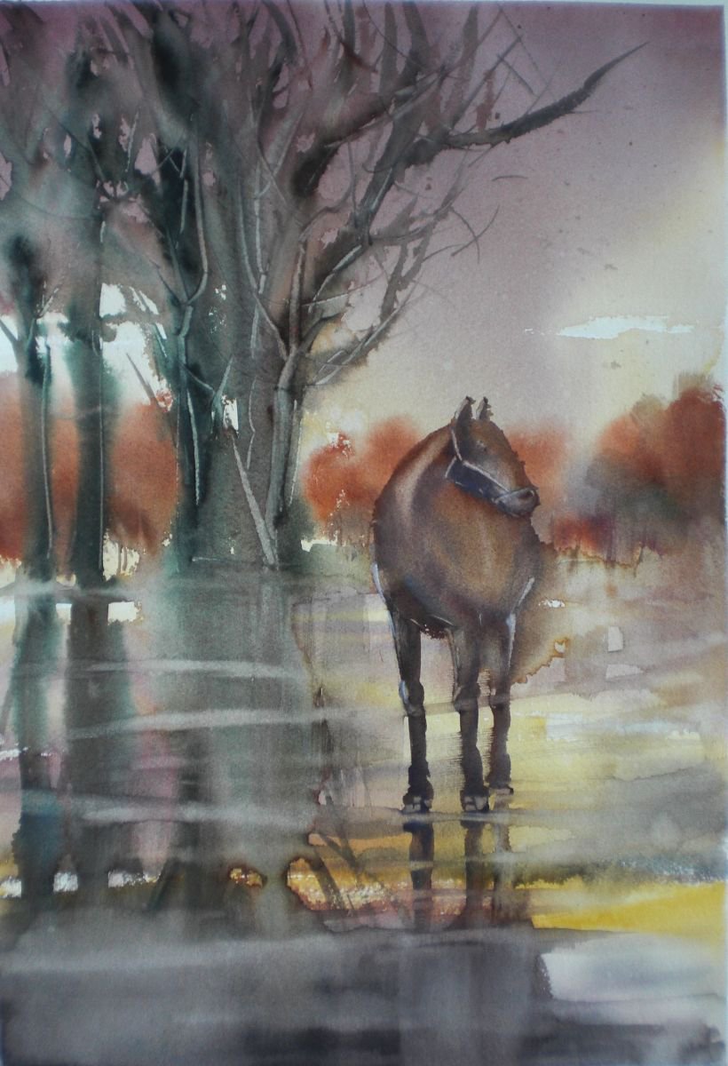 Expressive Animal Watercolour By Giorgio Gosti, 13 X 19, Horse, Original Artwork