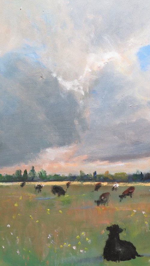 Cow Meadow by Malcolm Ludvigsen