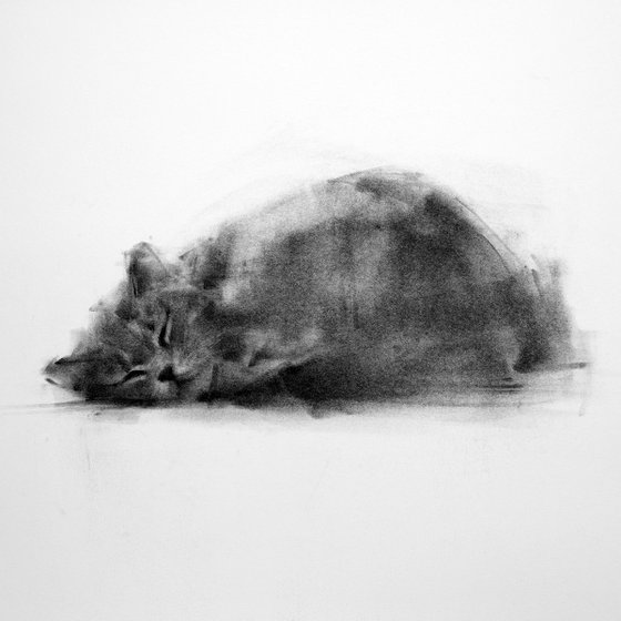 Day Dreamer II