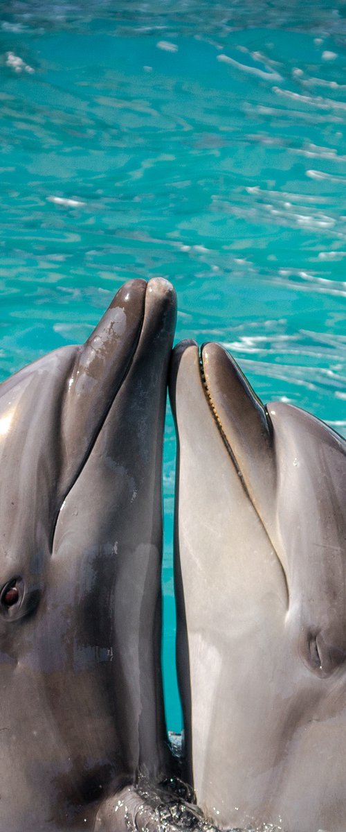 Harmony by Vlad Durniev