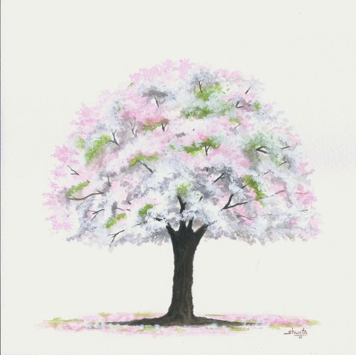 Cherry Blossom by Shweta  Mahajan