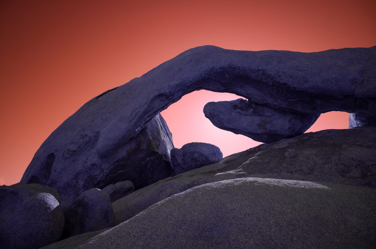 Joshua Tree under The Strawberry Moon by Mark Hannah