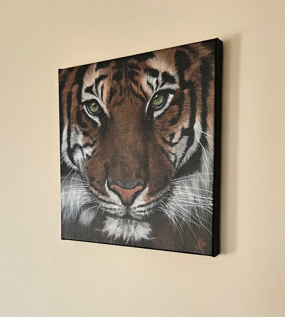 Painting Eye of the tiger
