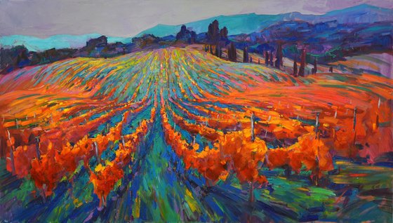 Tuscan vineyards