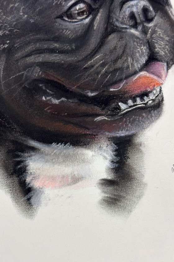 Black French Bulldog - Unique Dog Lover Gift