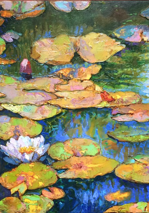 Water lilies. by Andriy Vutyanov