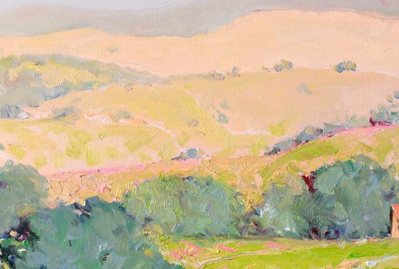 Summer. California Mountains