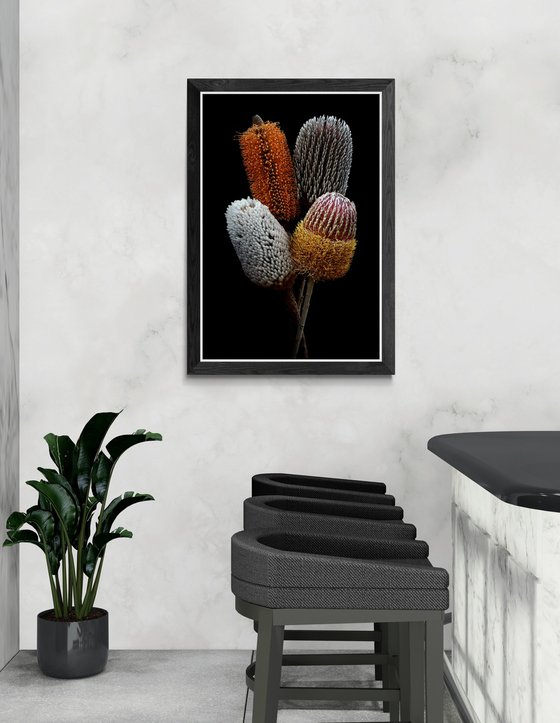 Banksia Bundle