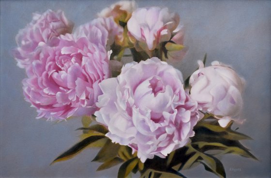 Peonies in Bloom.