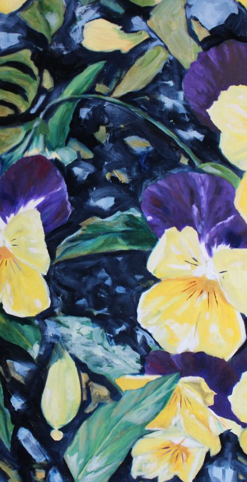 Pansies by Afekwo