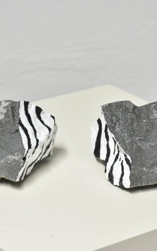 Fossilized zebra 2 by Yannick Bouillault