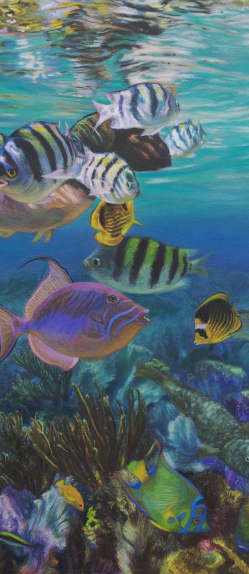 Reef Fish by Kathy Carney