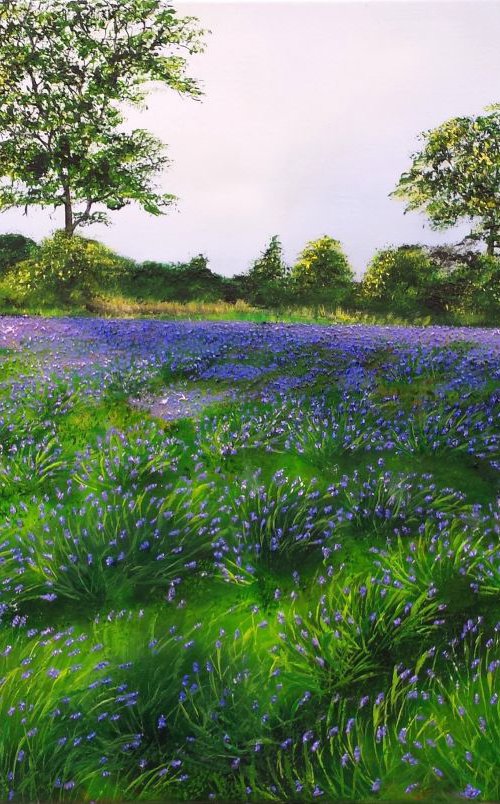 lavender by Hazel Thomson