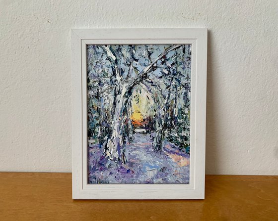 Sunset in winter forest