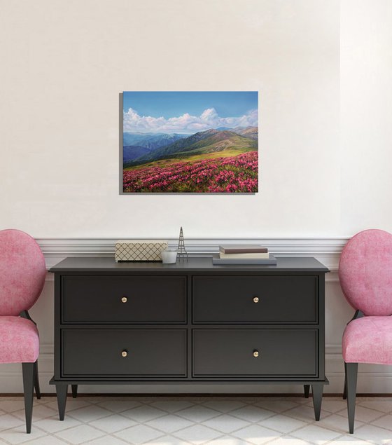 Spring in the mountains