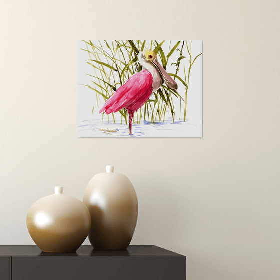 Roseate Spoonbill