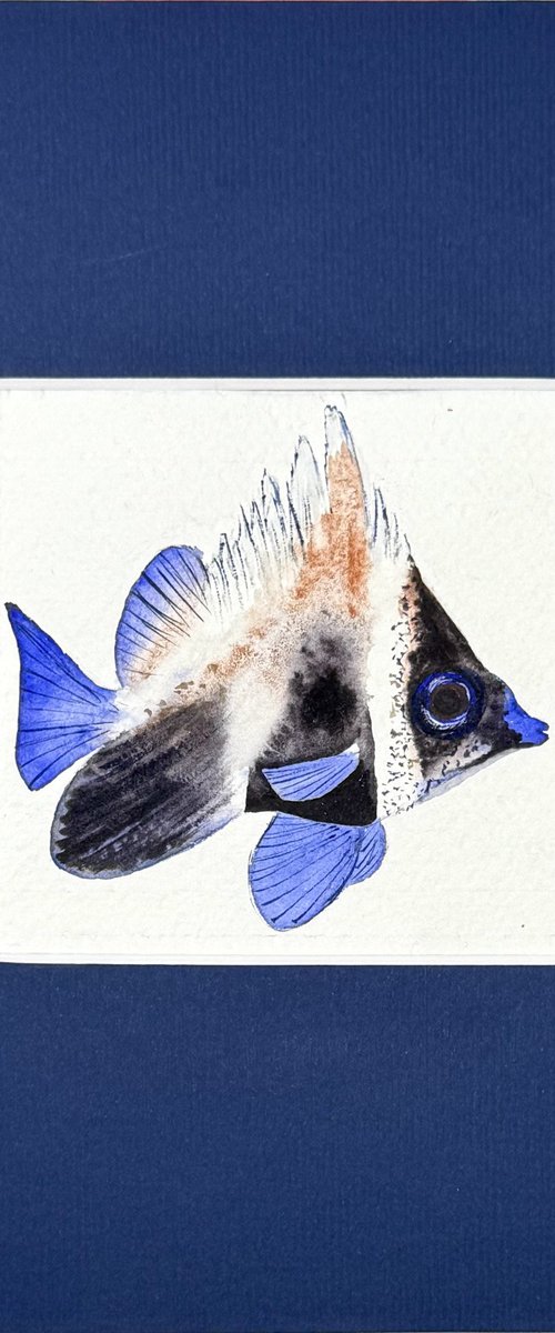 Exotic blue fish by Yuliia Sharapova