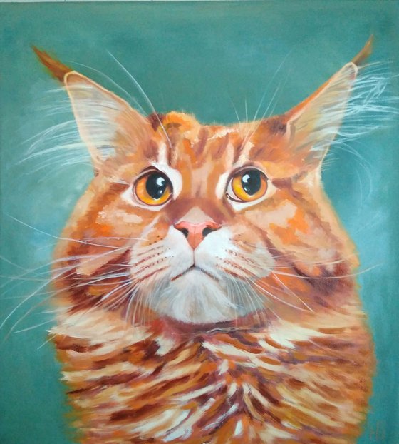 Red cat Maine Coon, 45x50 cm, ready to hang.