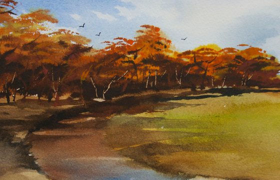Autumn Stream