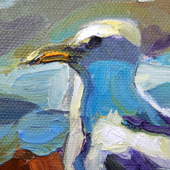 Seagull