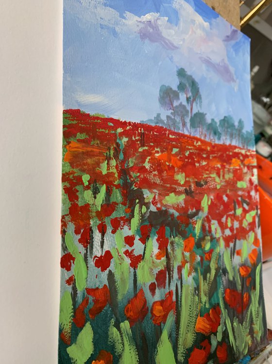 Poppy field.