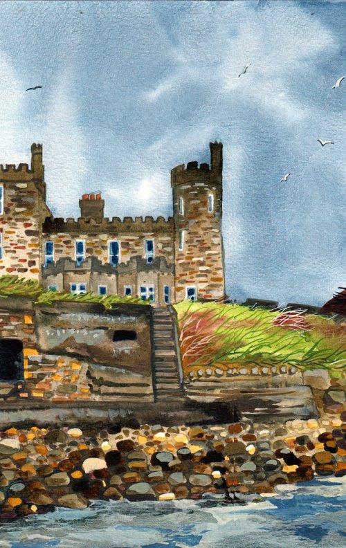Rosturk Castle, Mayo by Terri Smith
