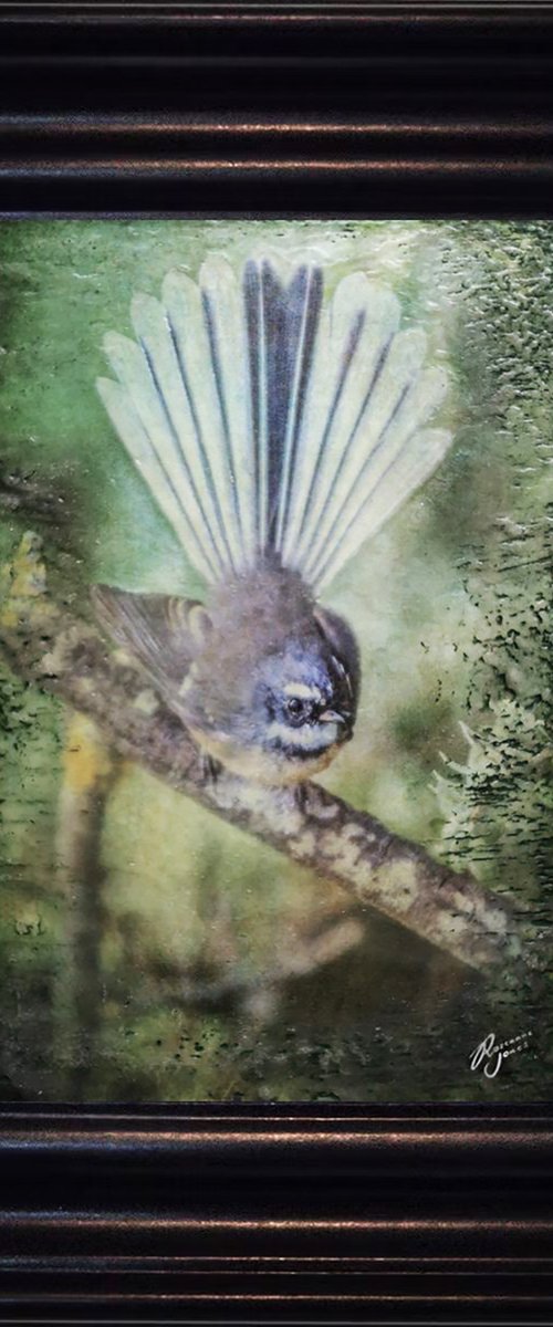 N.Z. Fantail by Roseanne Jones