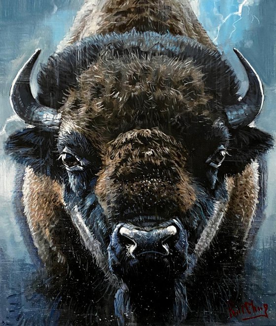 Silence in the Storm