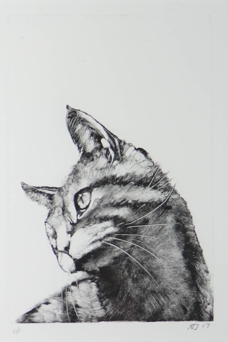 Tigger, Cat Monotype, One of a Kind Printmaking by Alex Jabore Paintings and Prints