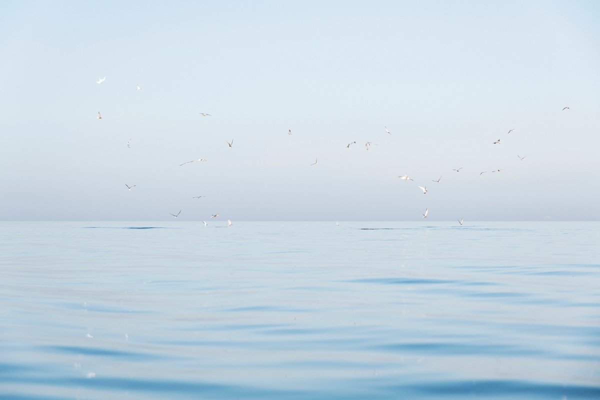 Photorealistic Landscape Photograph By Andrew Lever, 60 X 40, Waterworld 2., Original Artwork