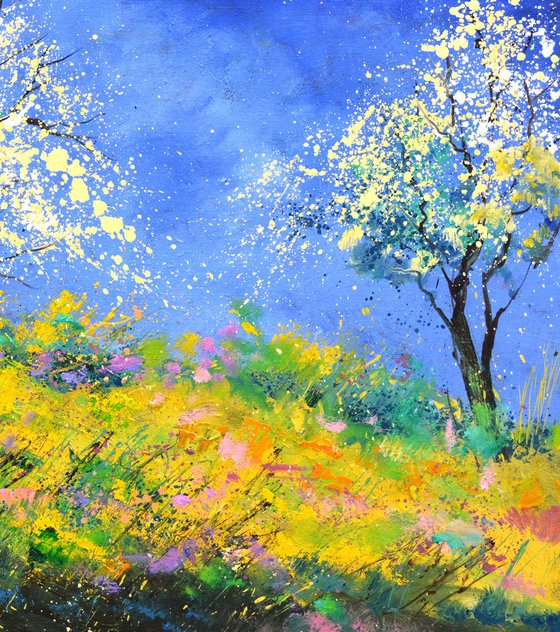 Spring in full bloom